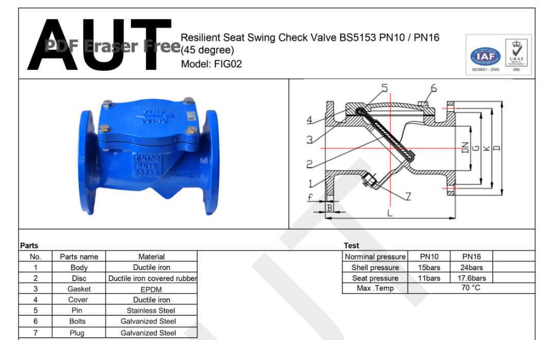 Van 1 chiều lá lật AUT DN600 7 Van 1 chiều lá lật AUT