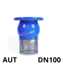 Rọ bơm AUT DN100