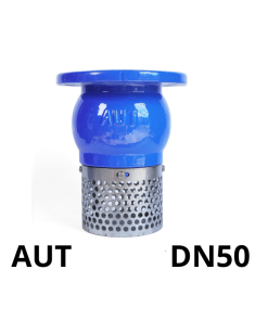 Rọ bơm AUT DN50