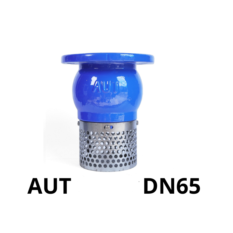Rọ bơm AUT DN65 6 Rọ bơm AUT DN65