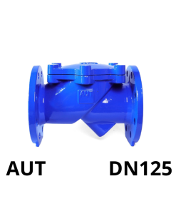 Van 1 chiều lá lật AUT DN125