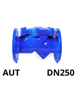 Van 1 chiều lá lật AUT DN250