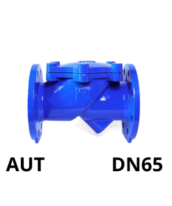 Van 1 chiều lá lật AUT DN65