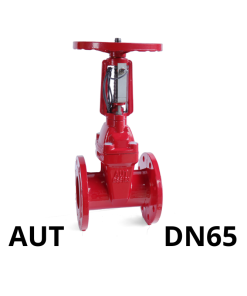 Van cổng tín hiệu điện AUT DN65