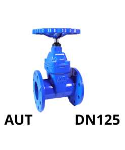 Van cổng ty chìm tay quay AUT DN125