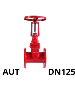 Van cổng ty nổi AUT DN125