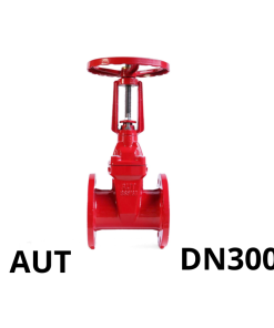 Van cổng ty nổi tay quay AUT DN300