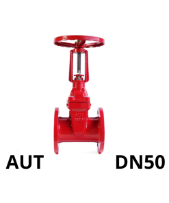 Van cổng ty nổi AUT DN50