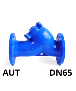 Van y lọc AUT DN65