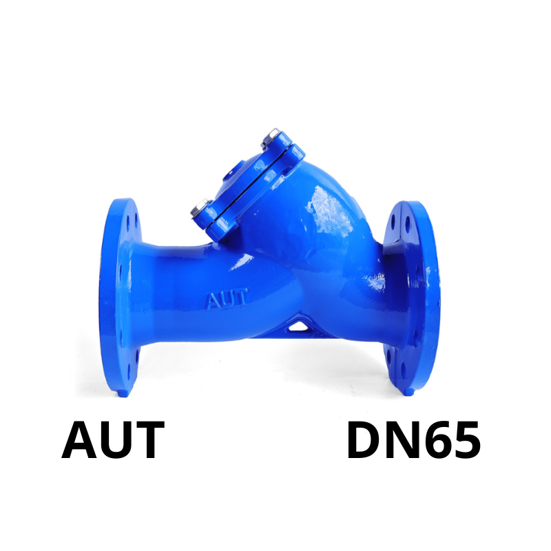 Van Y lọc AUT DN65 6 Van y lọc AUT DN65
