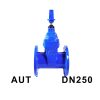 Van cổng ty chìm nắp chụp AUT DN250