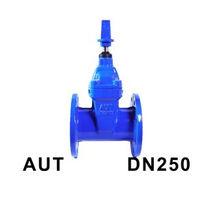 Van cổng ty chìm nắp chụp AUT DN250