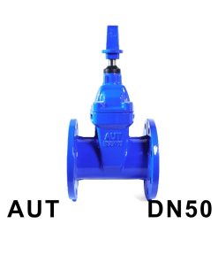 Van cổng ty chìm nắp chụp AUT DN50