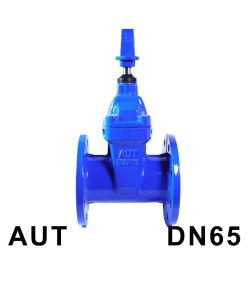 Van cổng ty chìm nắp chụp AUT DN65